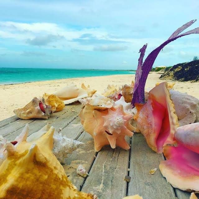 anegada3
