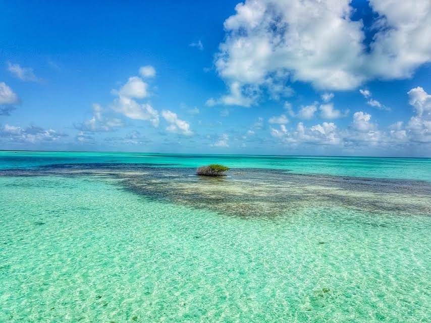 anegada1
