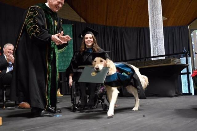 Cachorro diploma