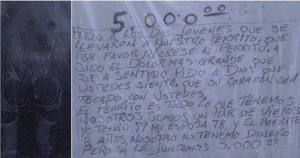 Robo de perro a ancianos