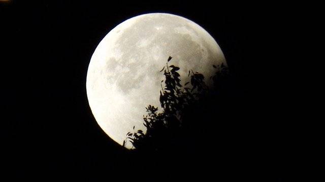 Eclipse lunar