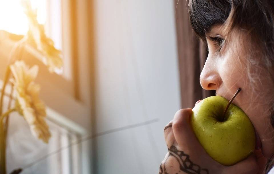 alimentos funcionales
