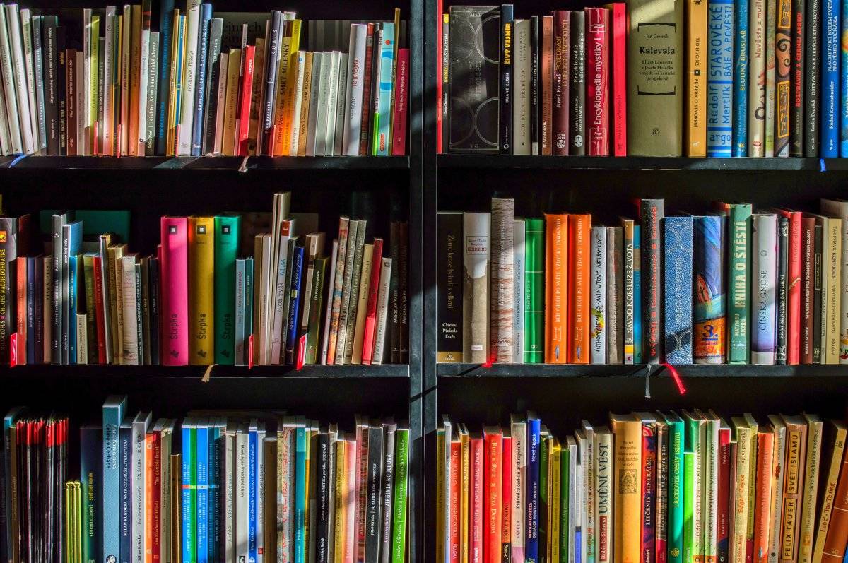 estante livros livraria