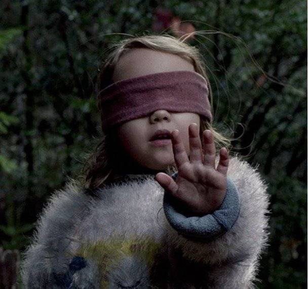bird box