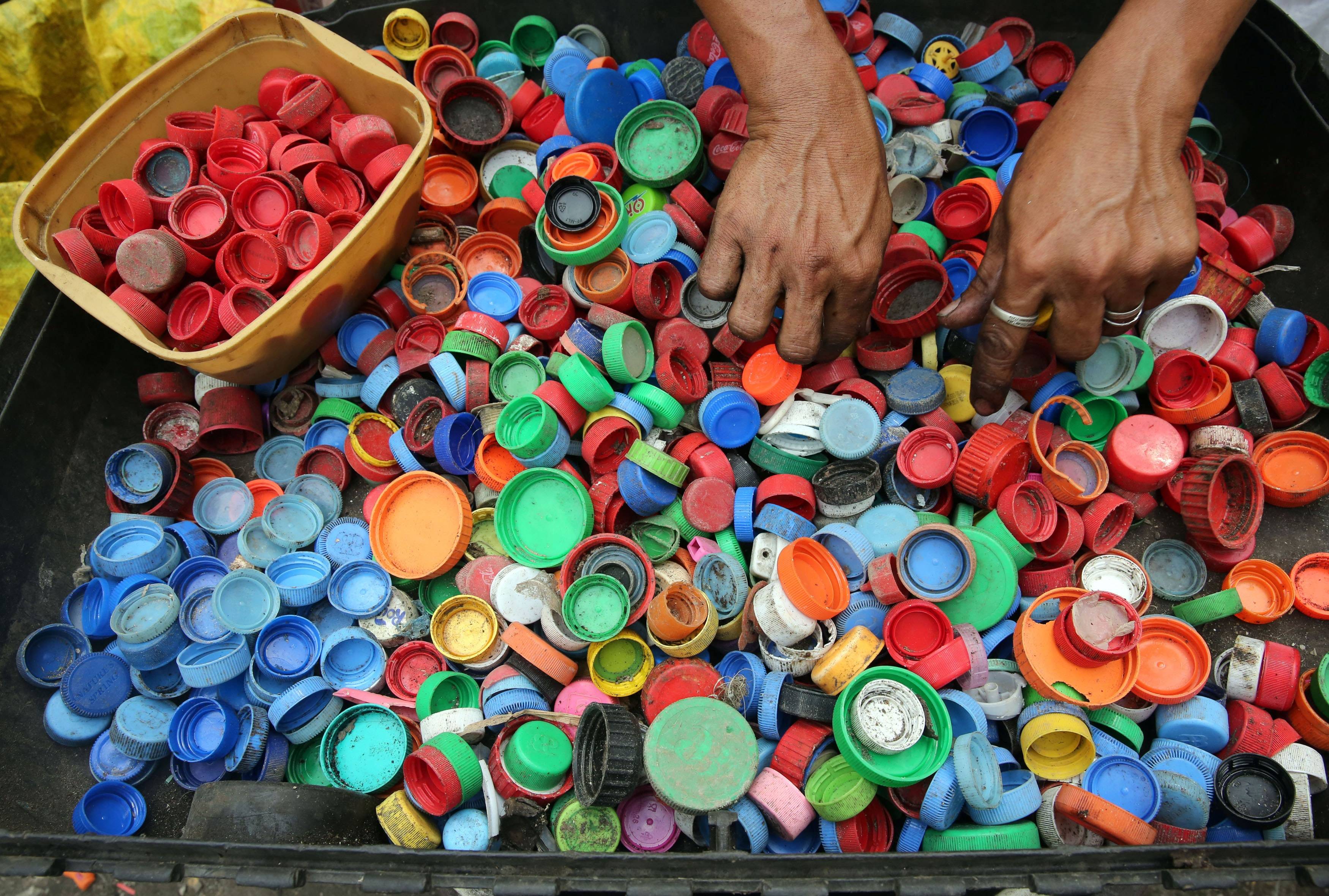 Crean un nuevo plástico biodegradable gracias a la acción de microorganismos marinos Crean un nuevo plástico biodegradable gracias a la acción de microorganismos marinos