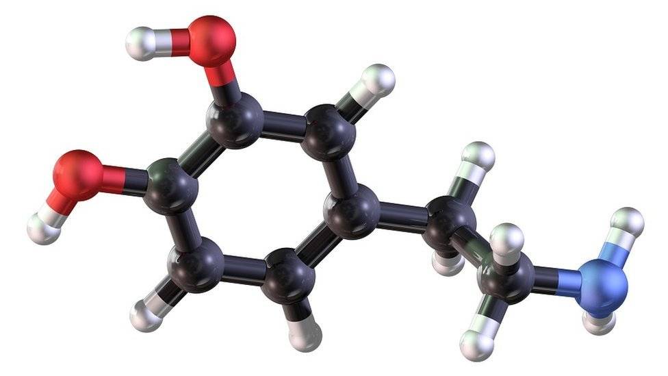 104458346dopamine-582c6181c0b02cf956020defb32a82b5.jpg