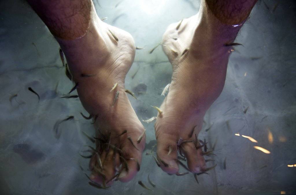 Pedicura con peces