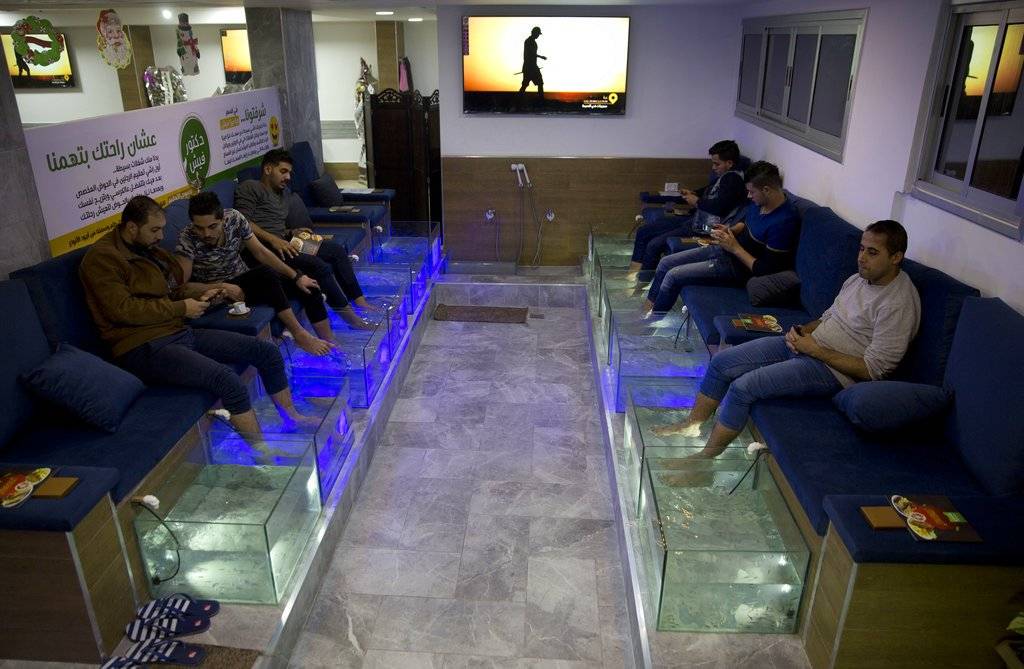 Pedicura con peces
