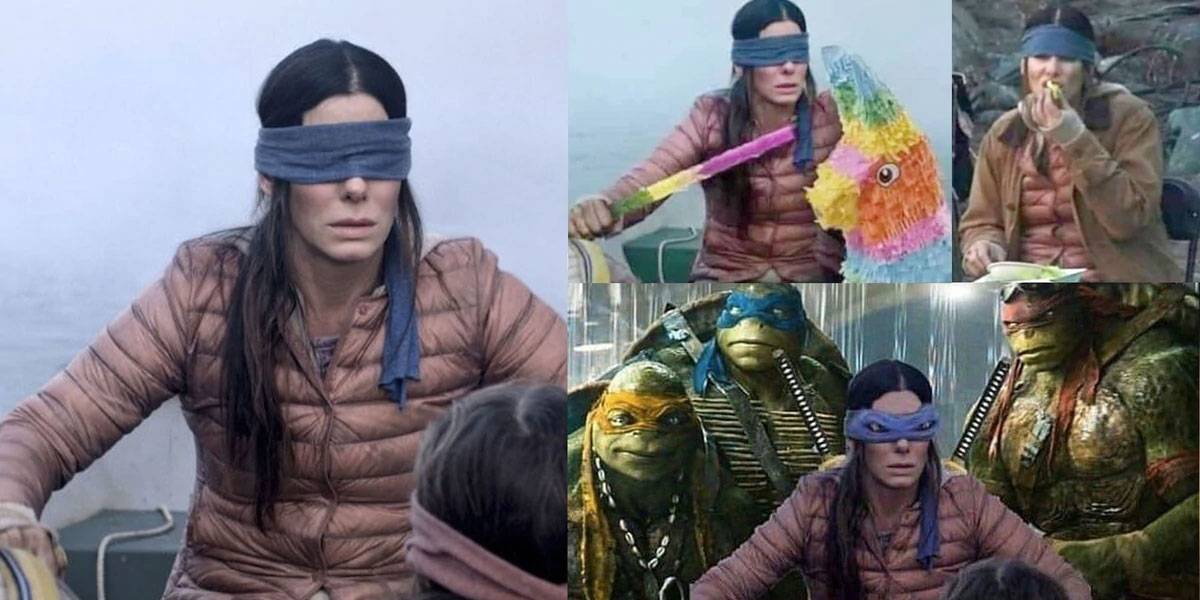 Netflix pide a sus usuarios que no arriesguen su vida con el #BirdBoxChallenge