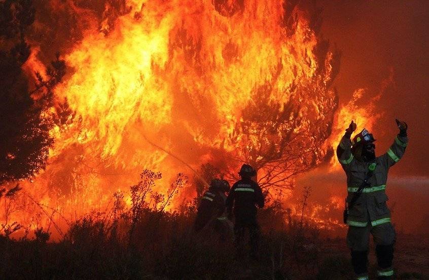 Incendios forestales