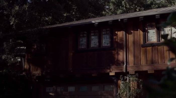 Bird Box