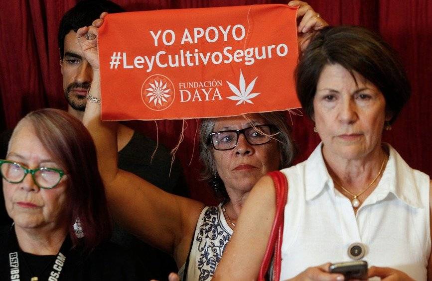 Proyecto marihuana