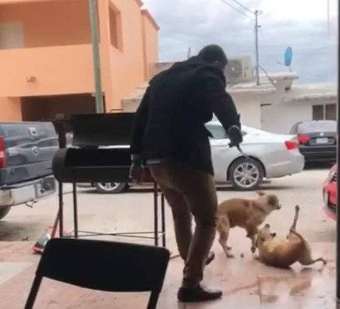 Hombre apuñala a perro en Piedras Negras