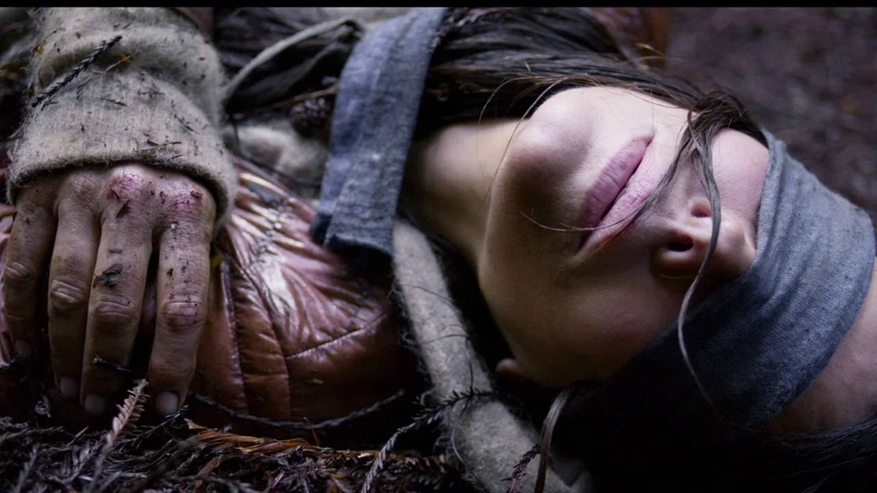 Bird Box Bird Box