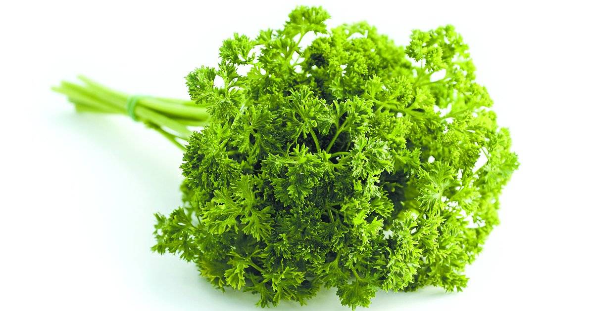 Substitutos para o sal