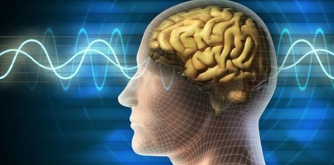 Ciencia controla ira Ciencia controla ira