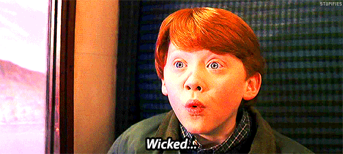 Harry Potter Netflix México