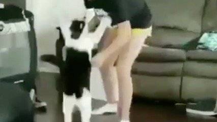 Pelea viral