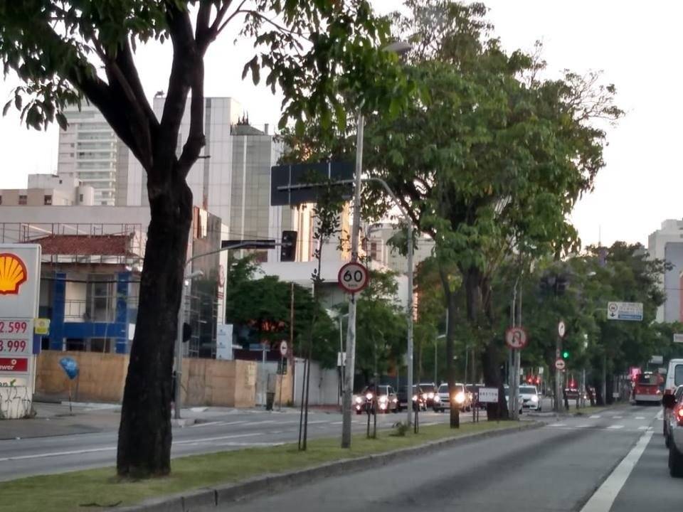 Placa adulterada rebouças