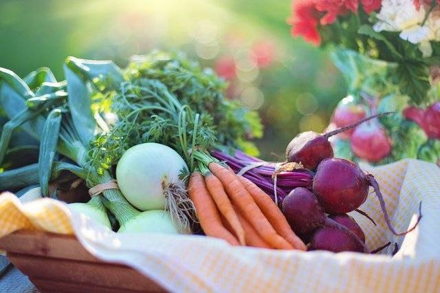 vitamina B