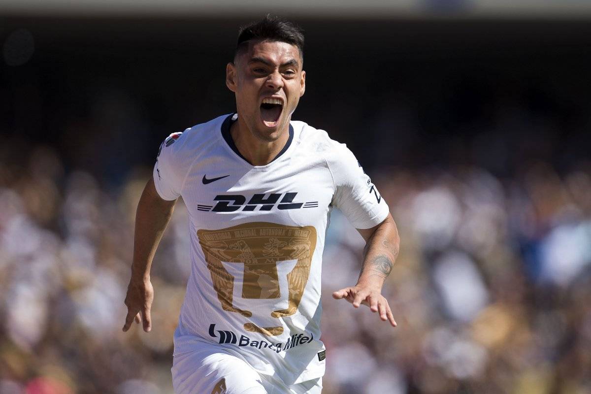 Pumas