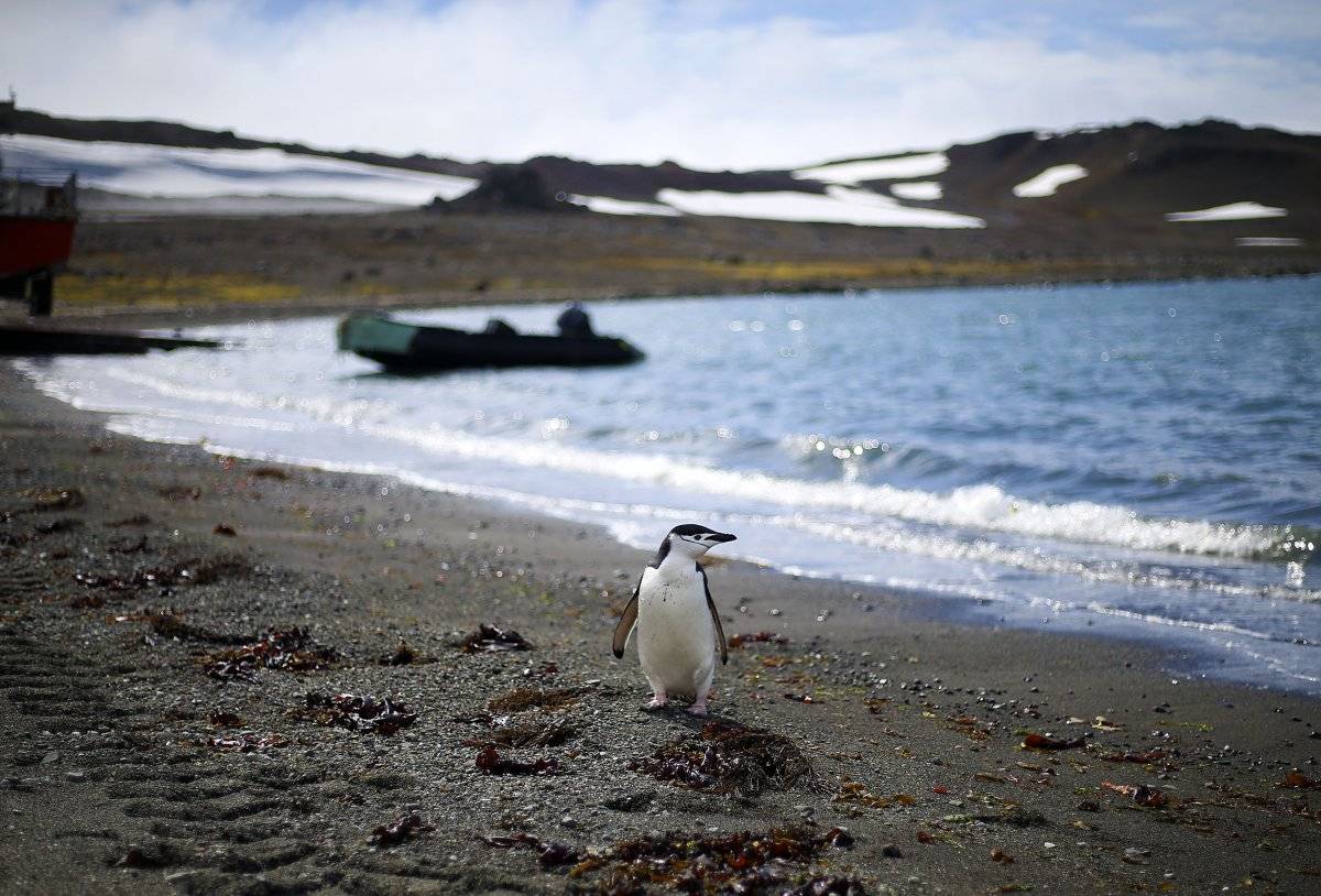 Antártica