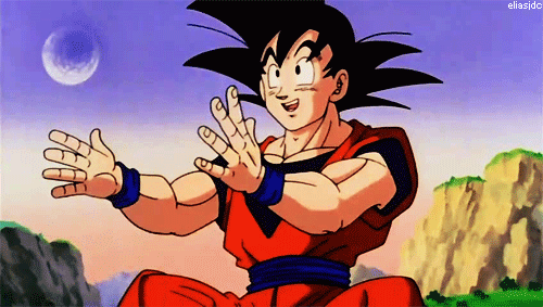 Fans Dragon Ball