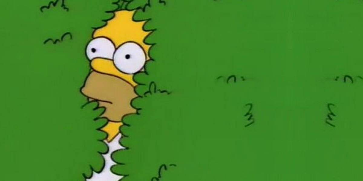 Homero Simpson usa su propio meme del arbusto y se vuelve viral