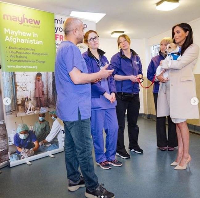 meghan markle