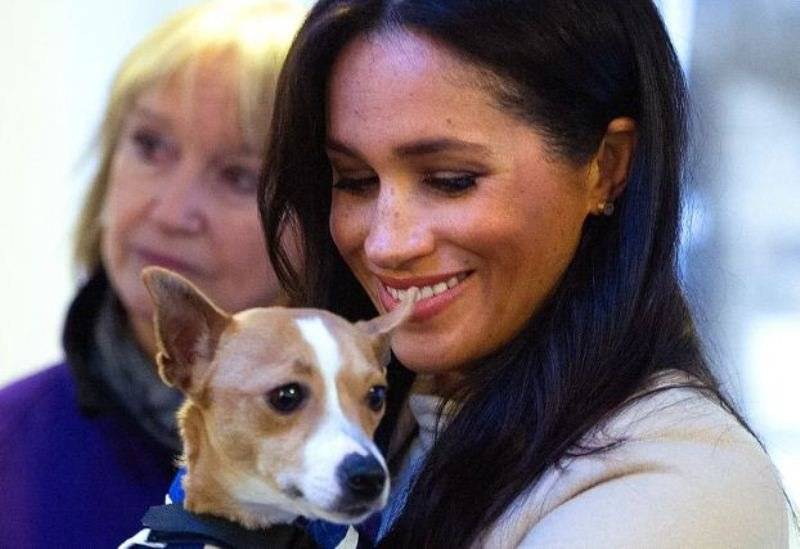 meghan467