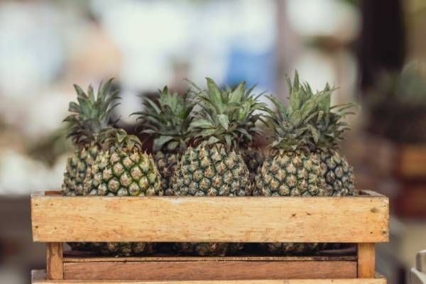 Pina para adelgazar como se prepara Pina para adelgazar como se prepara