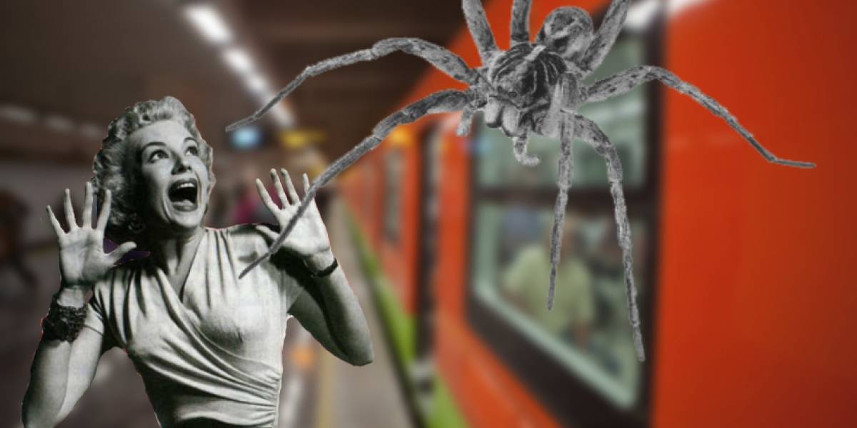 La invasión de las arañas en el Metro de la CDMX