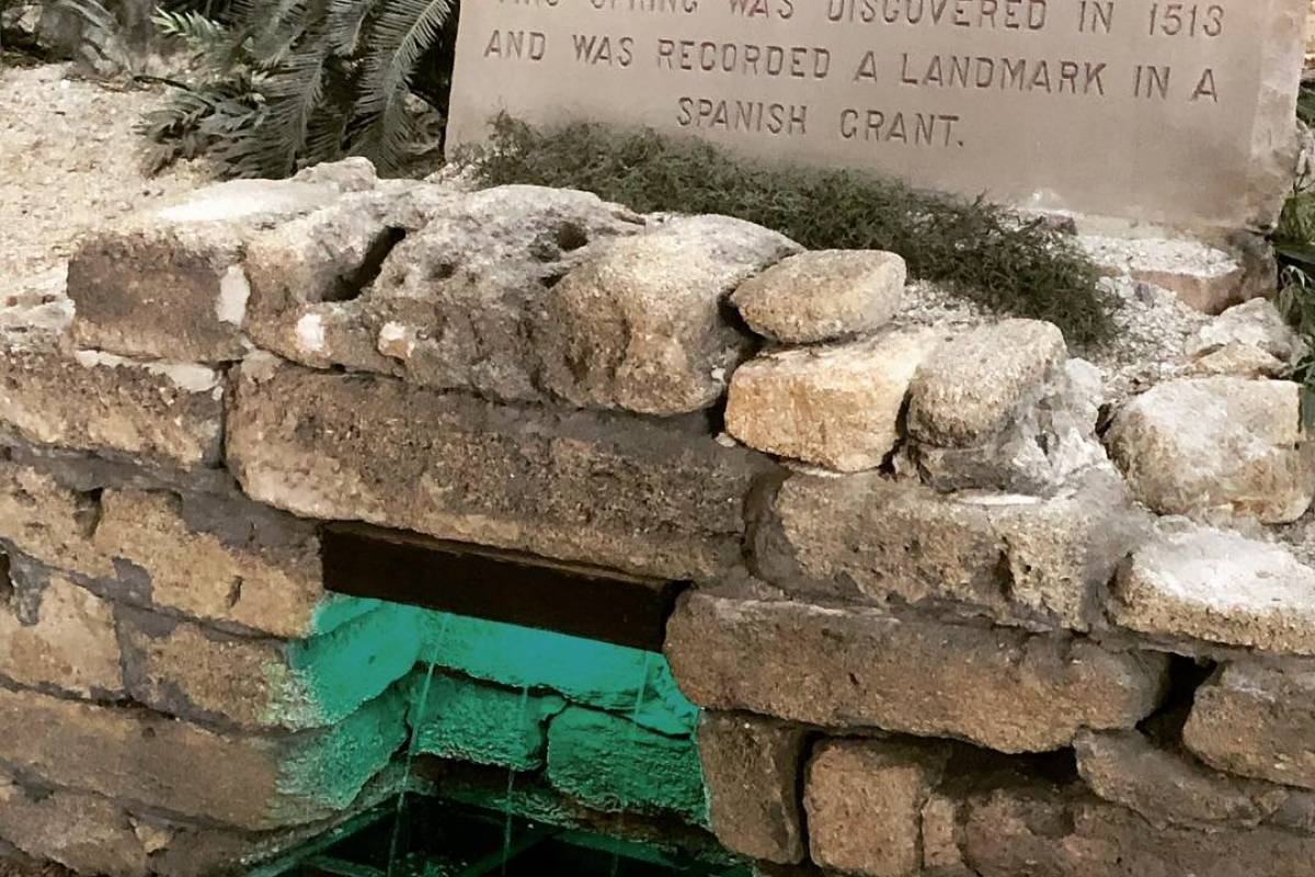 Boricuas encuentran la “Fuente de la juventud” en Florida Metro