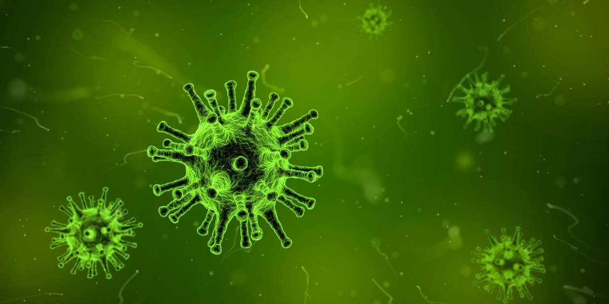 Científicos descubren "falencia" en virus con la que se podría crear una vacuna universal