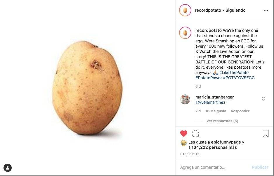 Papa Intagram