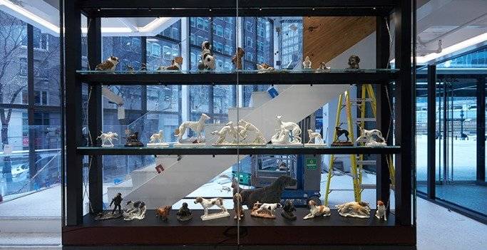 Por que el mejor amigo del hombre se merece, El perro tendrá su museo en Nueva York