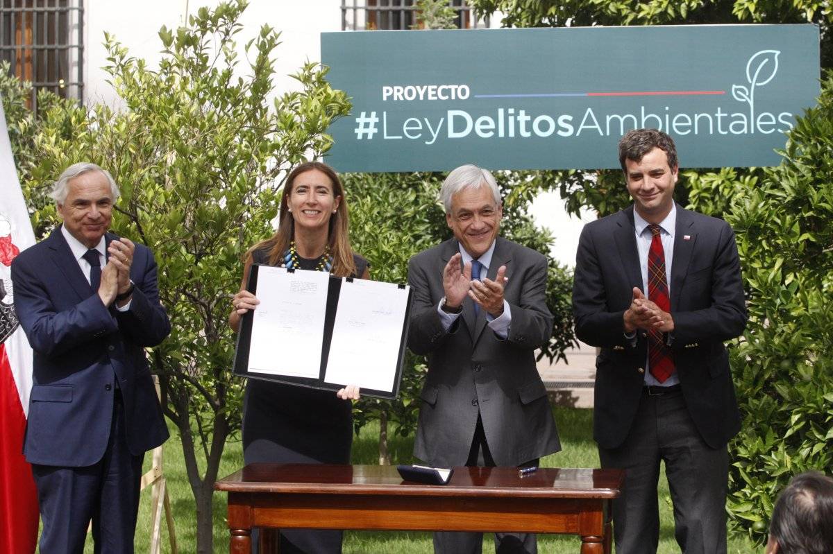 ley delitos ambientales