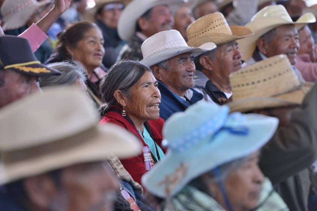 AMLO