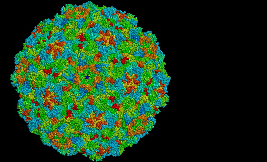 Científicos concluyen con éxito primera etapa de ensayos en humanos para probar vacuna contra el cáncer colorrectal Científicos concluyen con éxito primera etapa de ensayos en humanos para probar vacuna contra el cáncer colorrectal