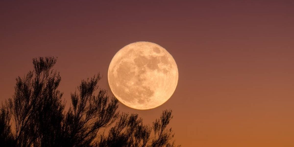 Maior superlua de 2019 iluminarÃ¡ o cÃ©u amanhÃ£!