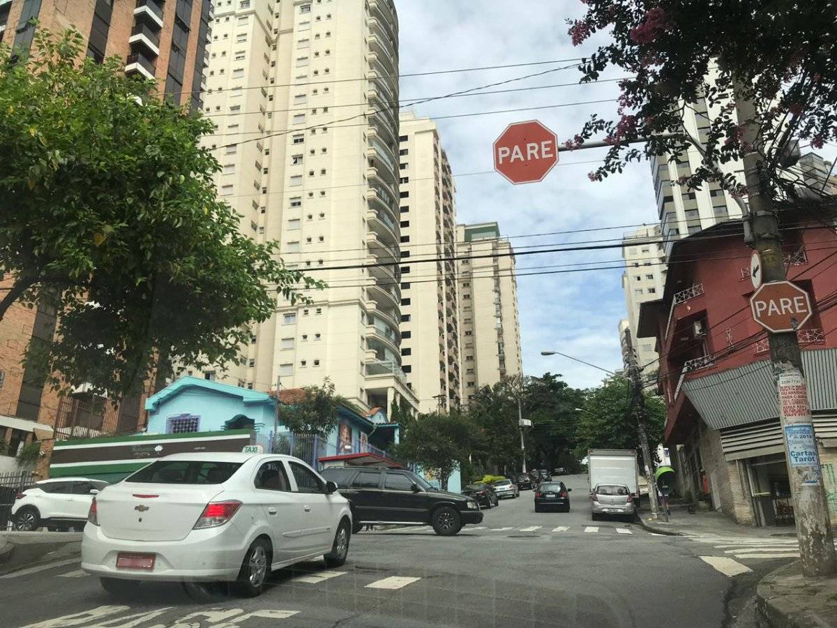perdizes cruzamento