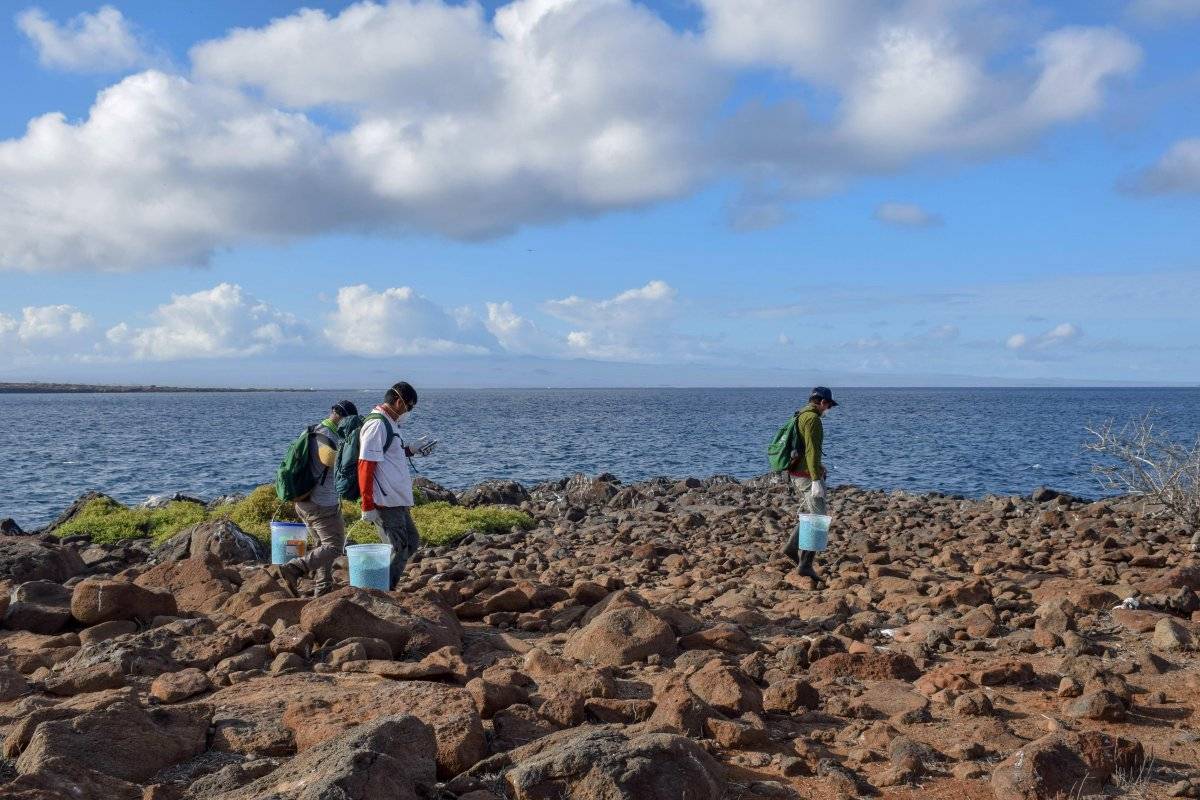 Ecuador implementa proyecto para erradicar roedores en una isla de Galápagos