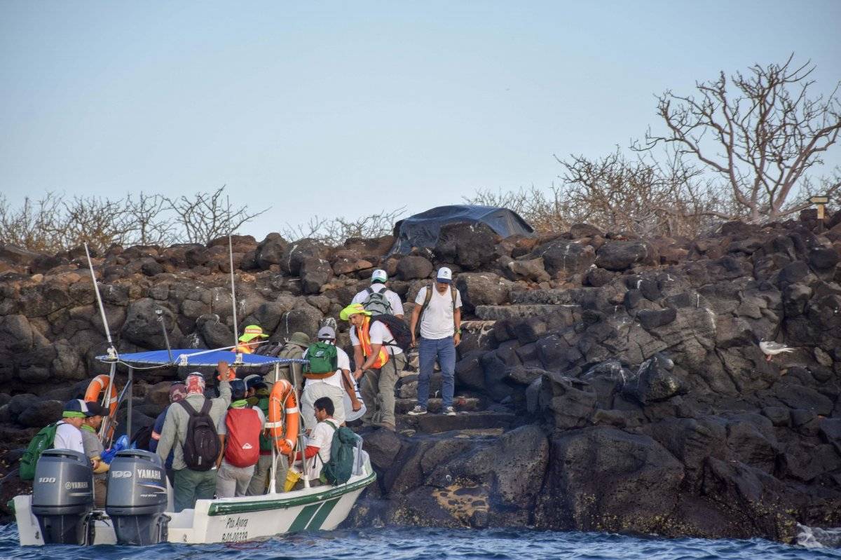 Ecuador implementa proyecto para erradicar roedores en una isla de Galápagos
