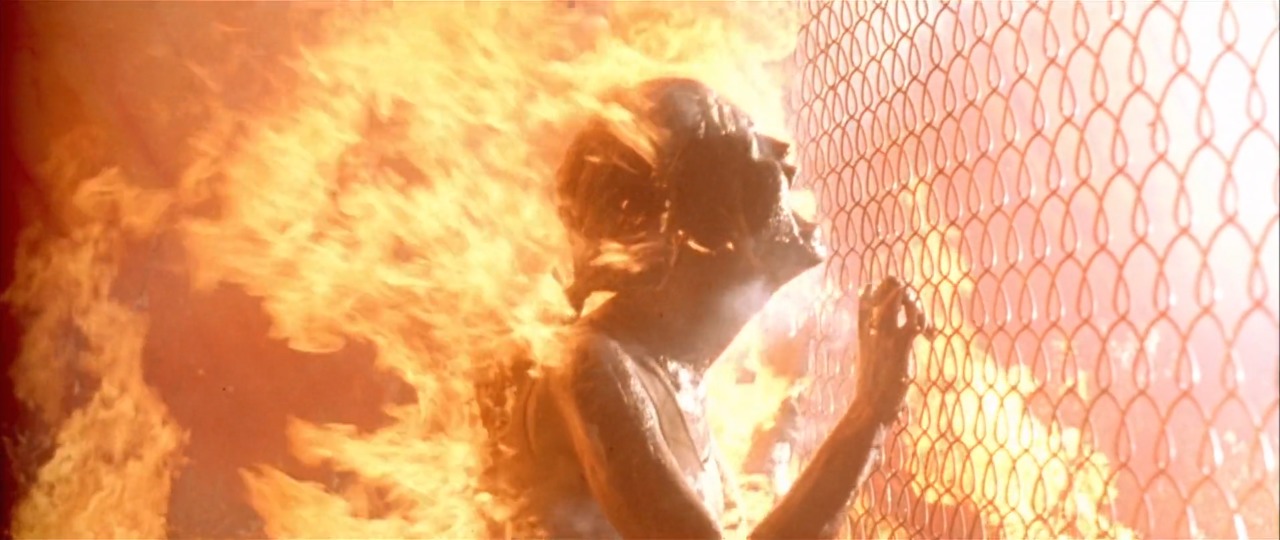 Calor extremo: Este lunes cinco regiones del país presentarán alerta meteorológica Calor extremo: Este lunes cinco regiones del país presentarán alerta meteorológica
