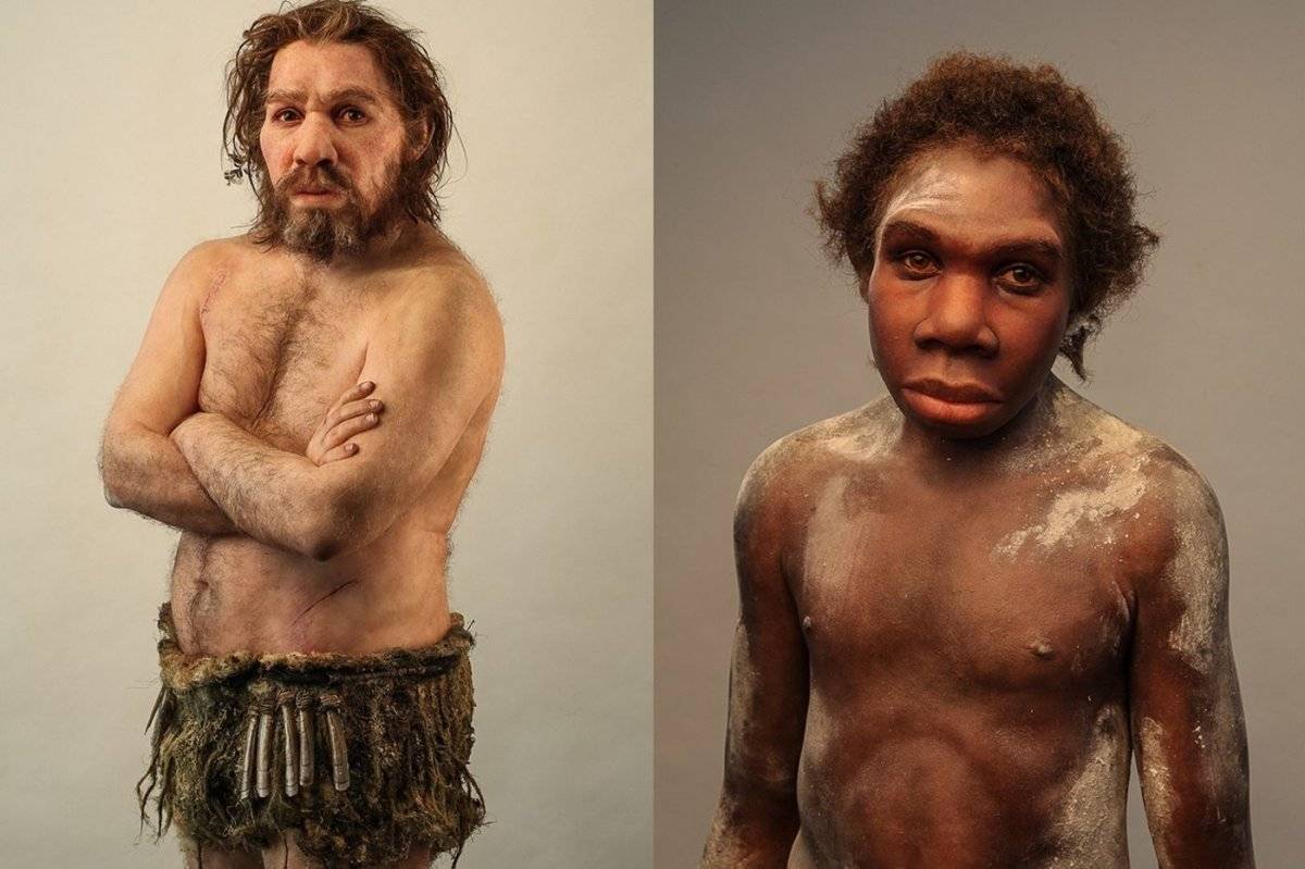 Interesante descubrimiento: Encuentran "el último collar de los neandertales" hecho con garras de águila