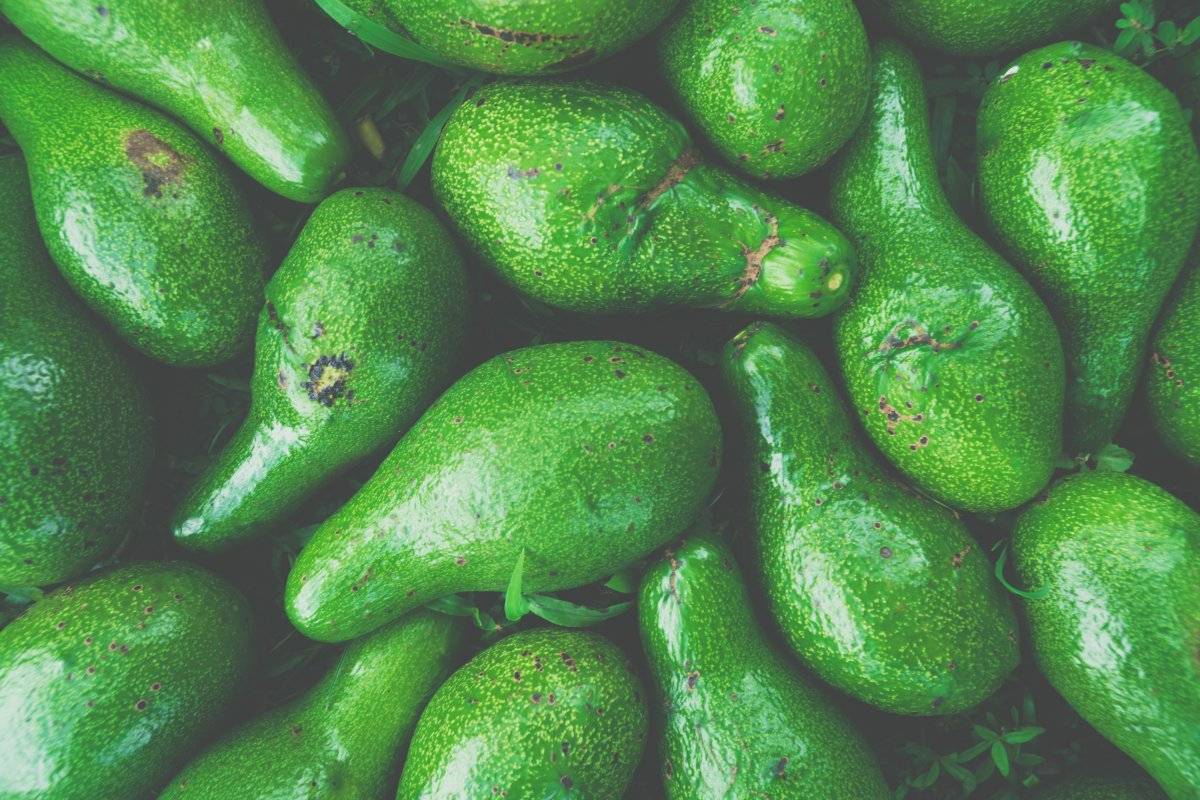 remedios caseros para bajar de peso