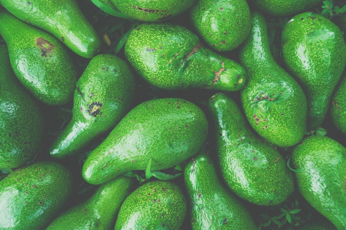 como bajar de peso con el hueso de aguacate
