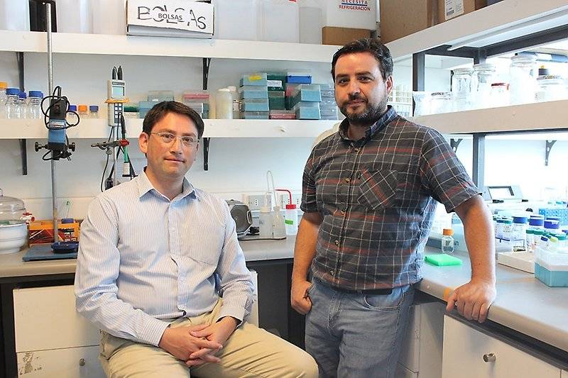 Los profesores Mario Rivera y David Vásquez de la Facultad de Ciencias Químicas y Farmacéuticas