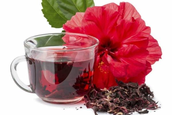 Dieta para acelerar el metabolismo y quemar grasa