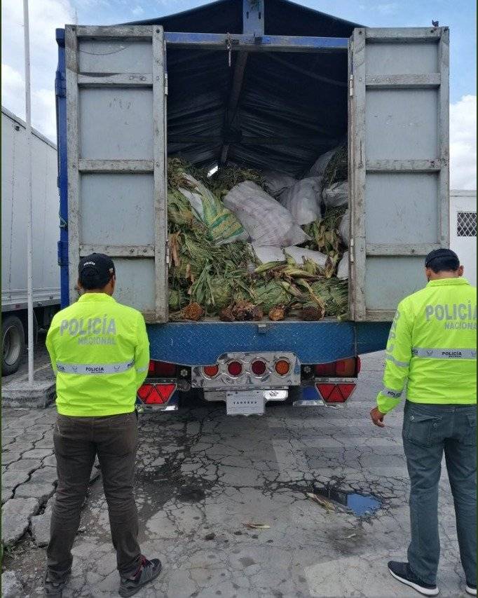 Ibarra: Policía incauta de 38 kilogramos de marihuana y material minero